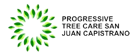 Progressive Tree Care San Juan Capistrano
